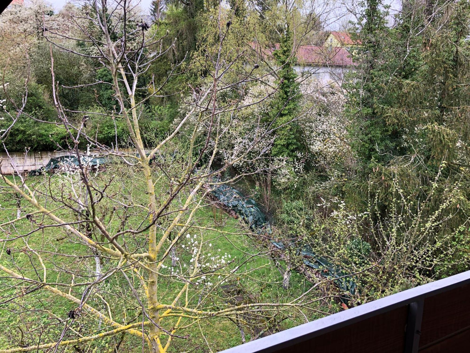 Blaues Zimmer Mit Grossem Balkon, Bad Ist Ein Traum, 50 Schritte Zum Radweg Am Main,Ideal For Short Stay Mainstockheim 외부 사진